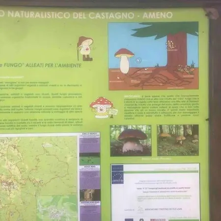 Mottarone House Casa vacanze